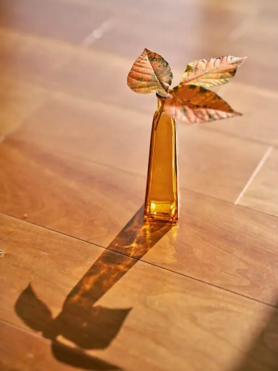 Autumn leaf in an amber glass vase