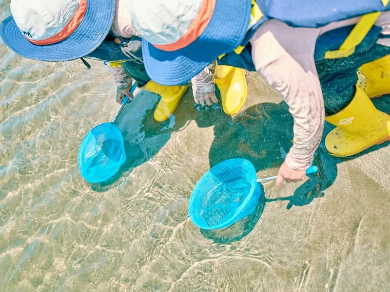 Children searching for creatures with nets