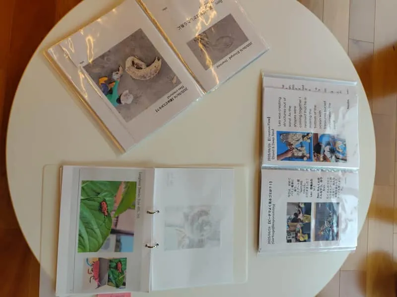 Learning portfolios and documentation