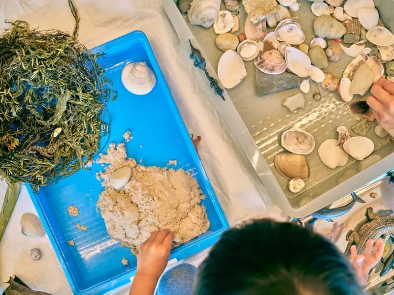 Sensory play with shells and sand