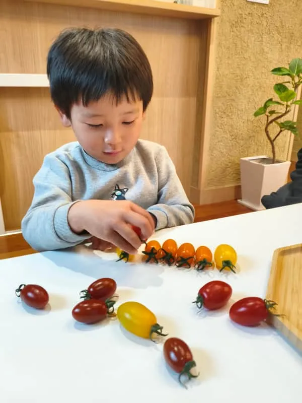 Child sorting cherry tomatoes by color